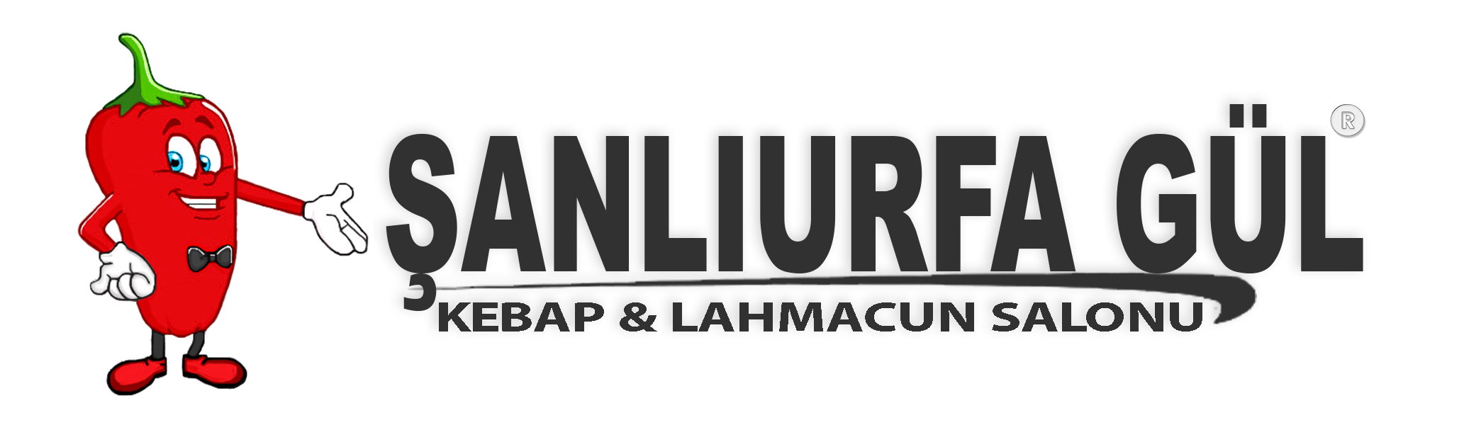Light Logo